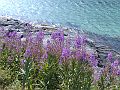 Nordkap 2009 543